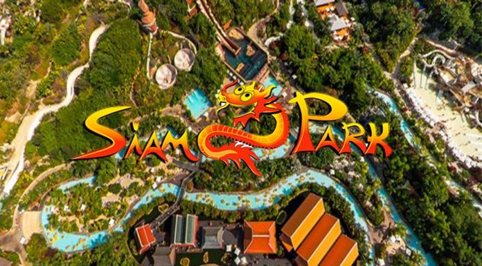 que ver en siam park