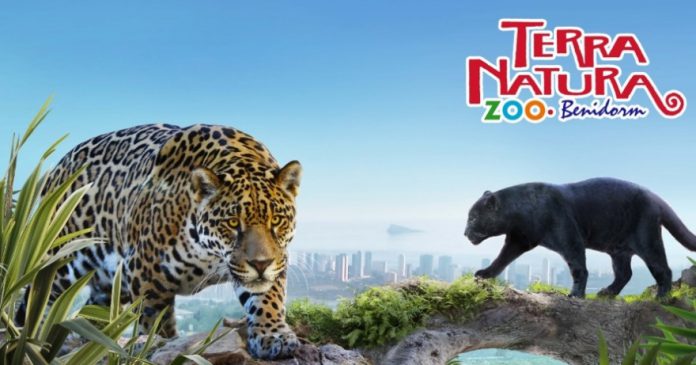 animales en terra natura benidorm