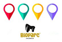 como llegar a bioparc valencia