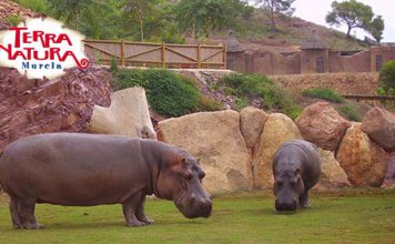 animales terra natura murcia