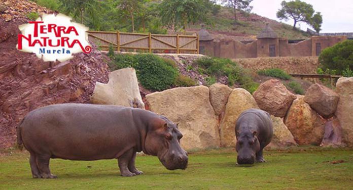 animales terra natura murcia