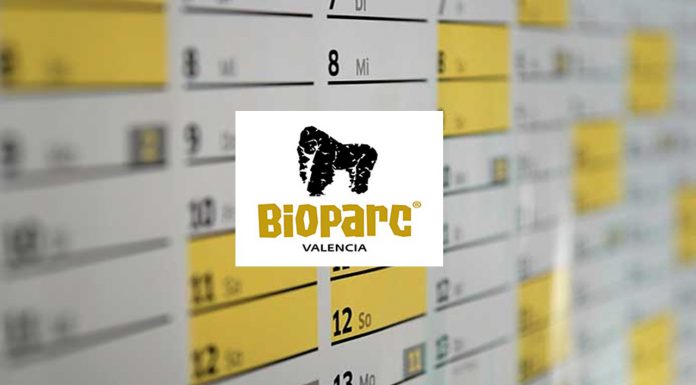 horarios y calendario bioparc valencia