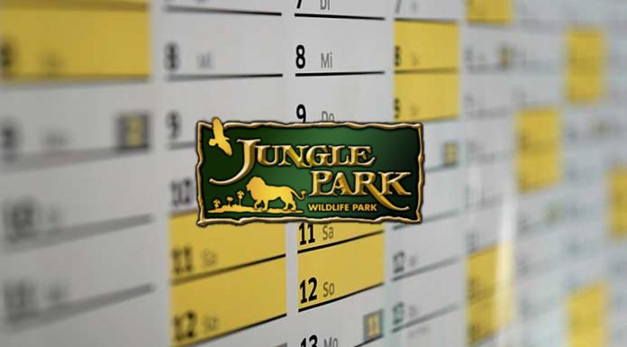 horarios y calendario jungle park