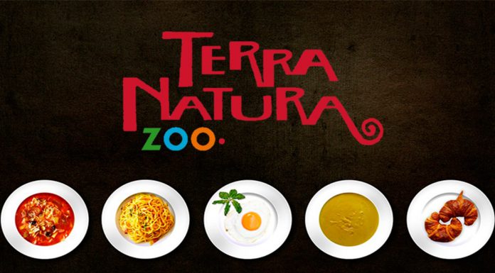 donde comer en terra natura