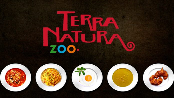 donde comer en terra natura