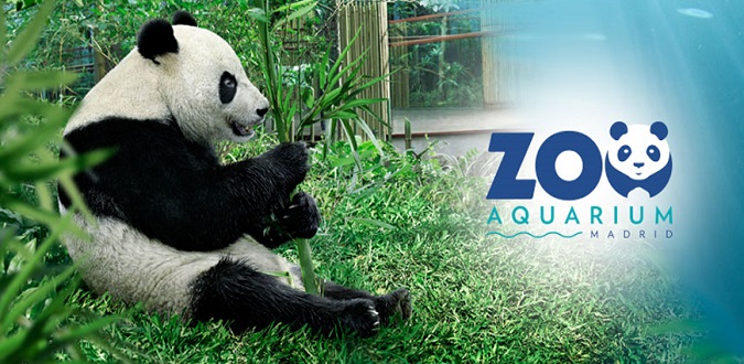 animales zoo aquarium