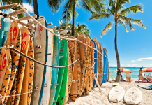 Diferentes tipos de tablas de surf están puestas en una playa de agua cristalina, palmeras y arena blanca. En la playa hay varias personas disfrutando del buen tiempo con tumbonas y sombrillas.