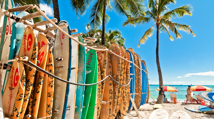 Diferentes tipos de tablas de surf están puestas en una playa de agua cristalina, palmeras y arena blanca. En la playa hay varias personas disfrutando del buen tiempo con tumbonas y sombrillas.