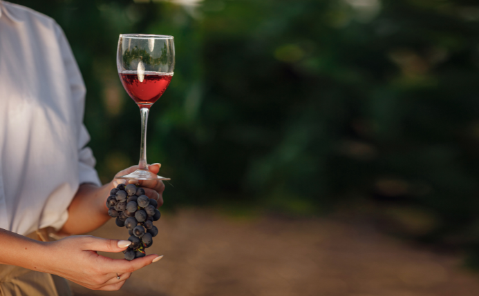 copa de vino representando bodegas a visitar en la Rioja